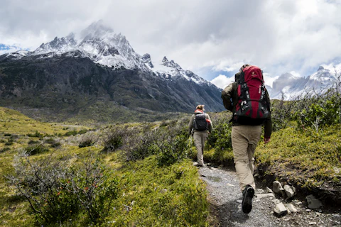 Carbon Trekking Poles